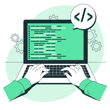 developer